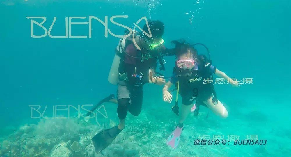海绵宝宝寻珍宝